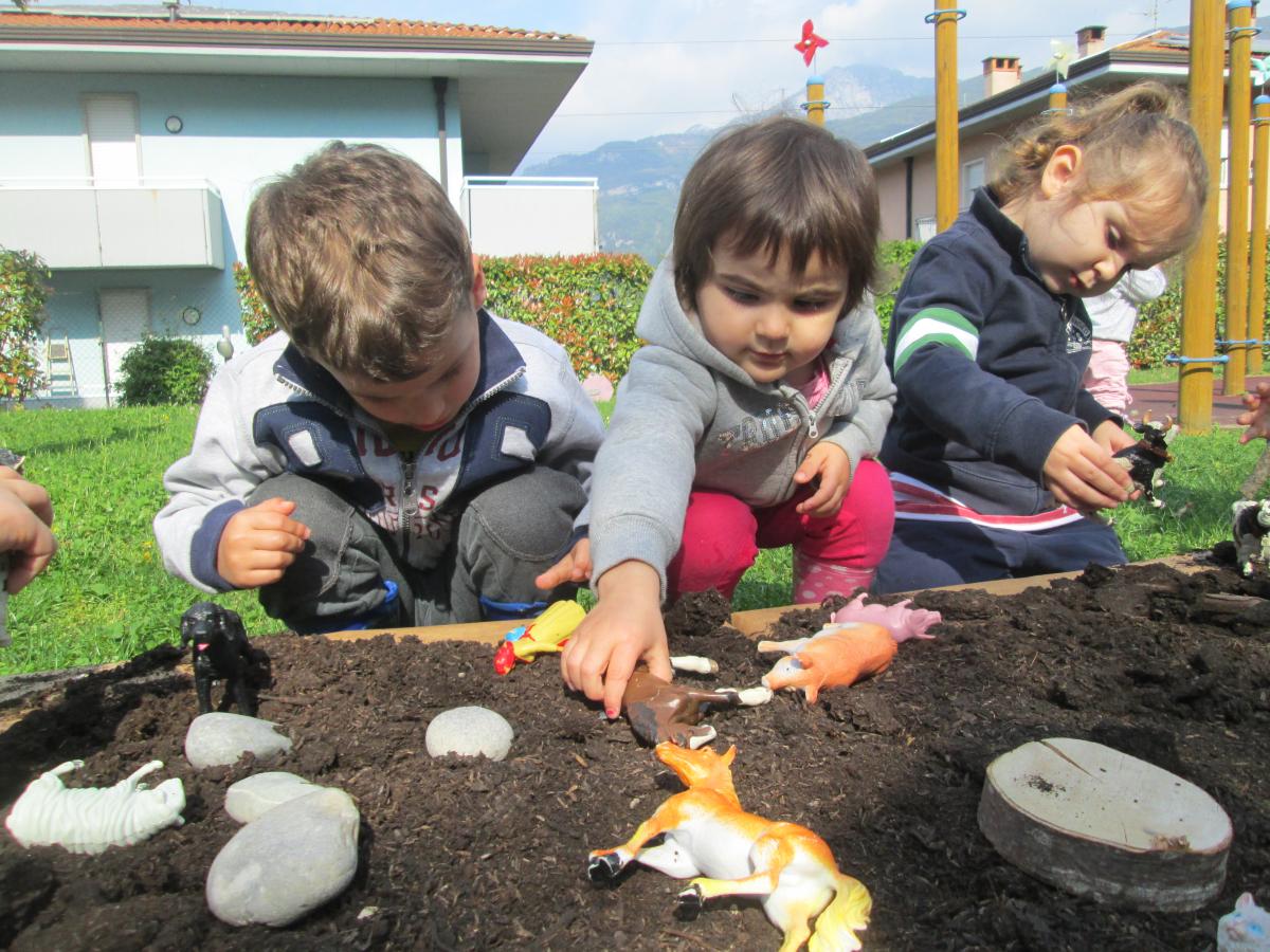 Pin di Susanna Pedrona su Piccolo blu e piccolo giallo  Progetti di  lavoretti per bambini, Libri per bambini, Lavoretti per bambini